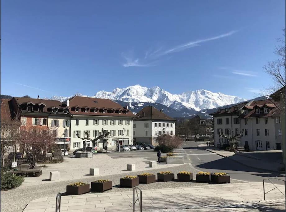 Appartement Spacieux Au Pays Du Mont-Blanc Sallanches Eksteriør bilde