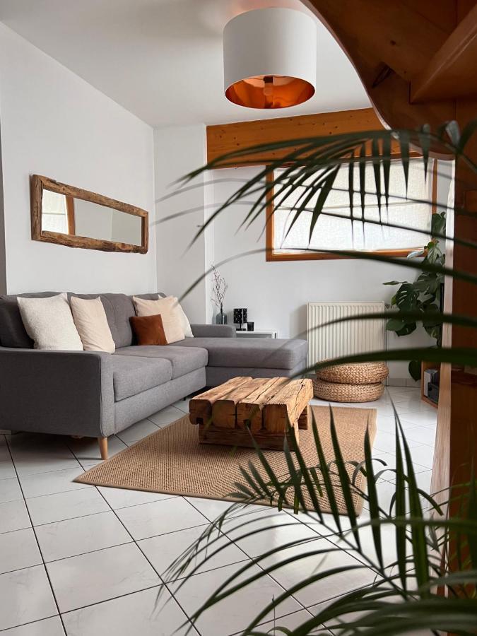Appartement Spacieux Au Pays Du Mont-Blanc Sallanches Eksteriør bilde