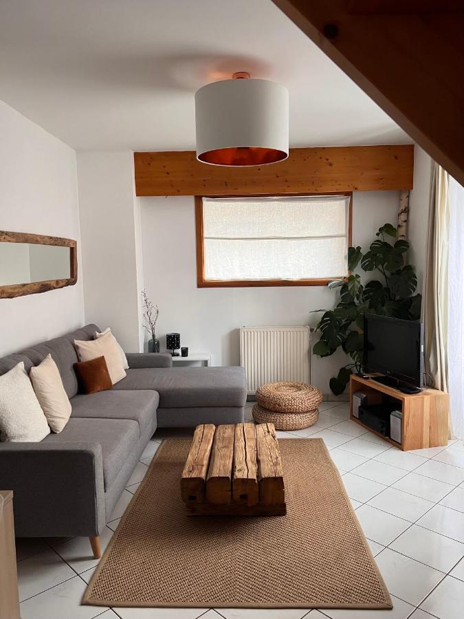 Appartement Spacieux Au Pays Du Mont-Blanc Sallanches Eksteriør bilde